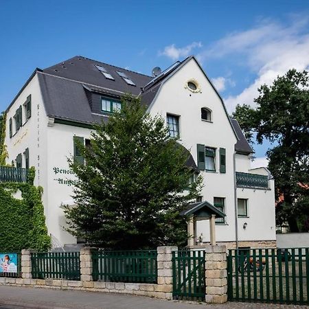 Villa Angelika Dresden Exteriör bild